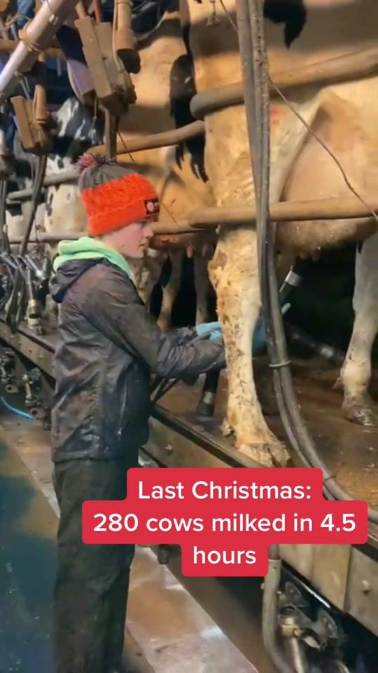 TikTok video thumbnail by lisa7470