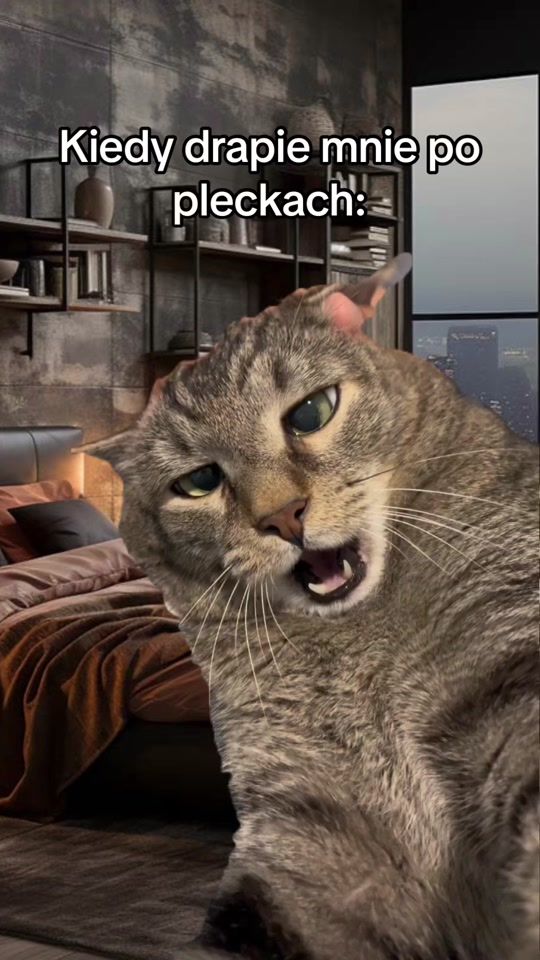 TikTok video thumbnail by bennymajster2