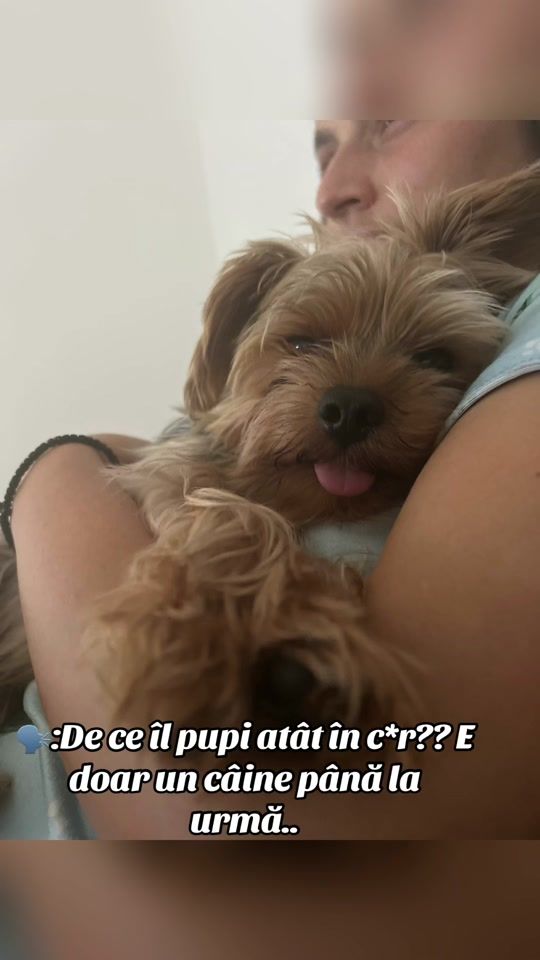 TikTok video thumbnail by enescuelena95