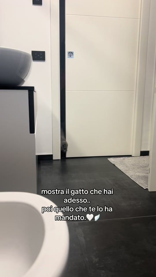 TikTok video thumbnail by laradolci