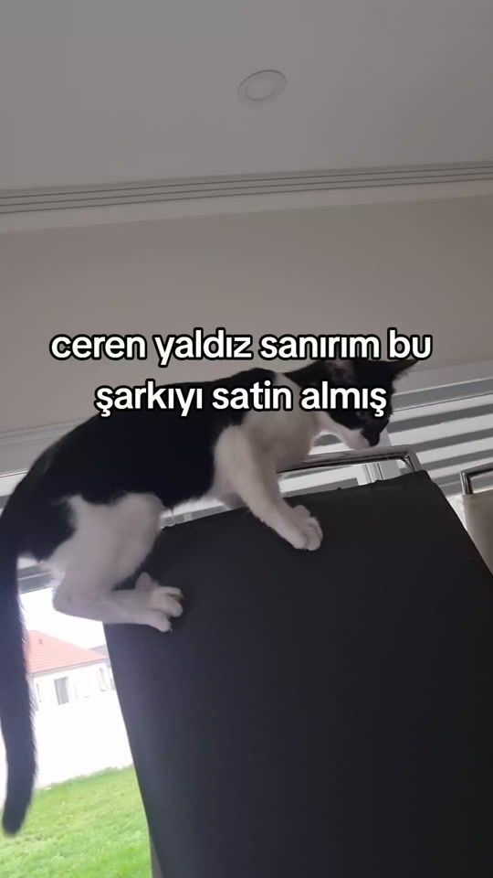 TikTok video thumbnail by minou_382
