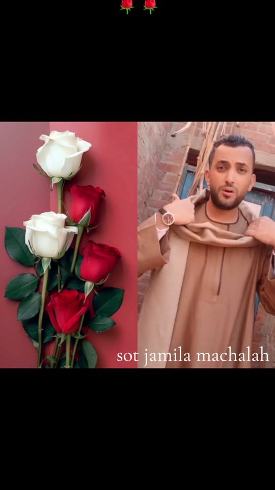 TikTok video thumbnail by sandrabruxelles