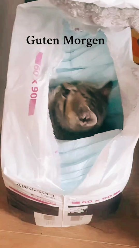 TikTok video thumbnail by keysi.bkh.keysi