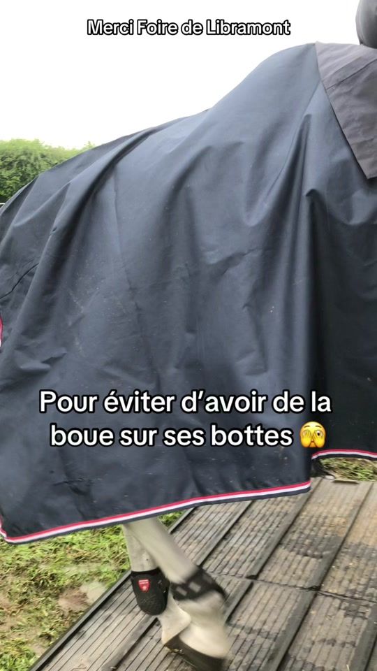 TikTok video thumbnail by feliciencollin