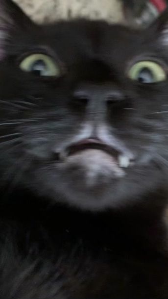 TikTok video thumbnail by sreluctant