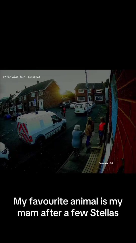 TikTok video thumbnail by robynaparvin