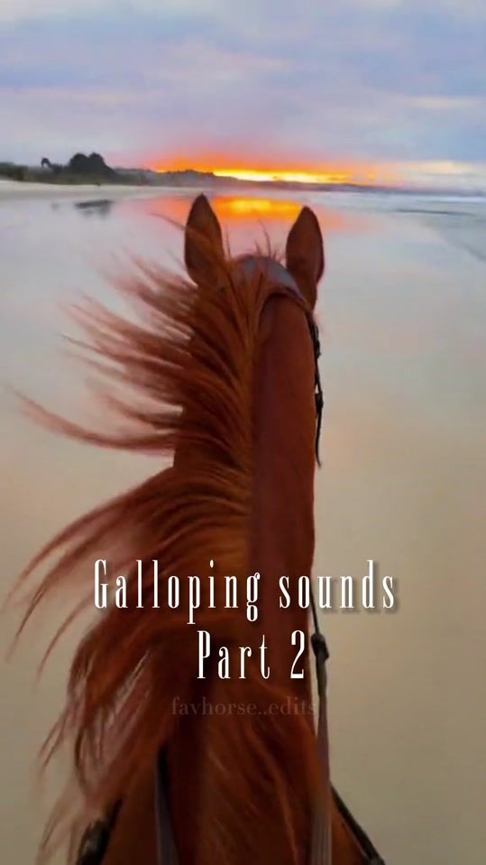 TikTok video thumbnail by favhorse_