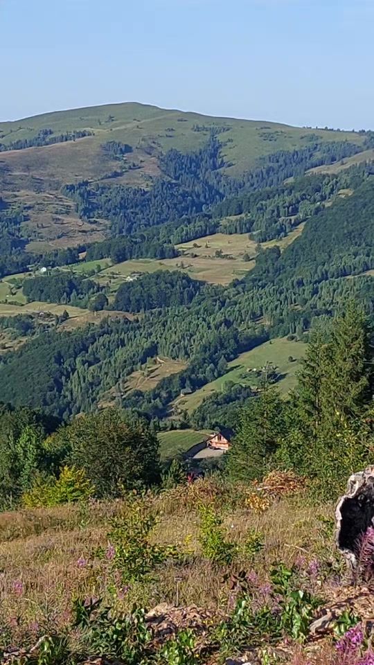 TikTok video thumbnail by viorelmatis6