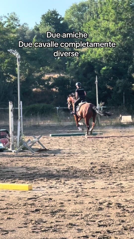 TikTok video thumbnail by chiaraprestinari.2