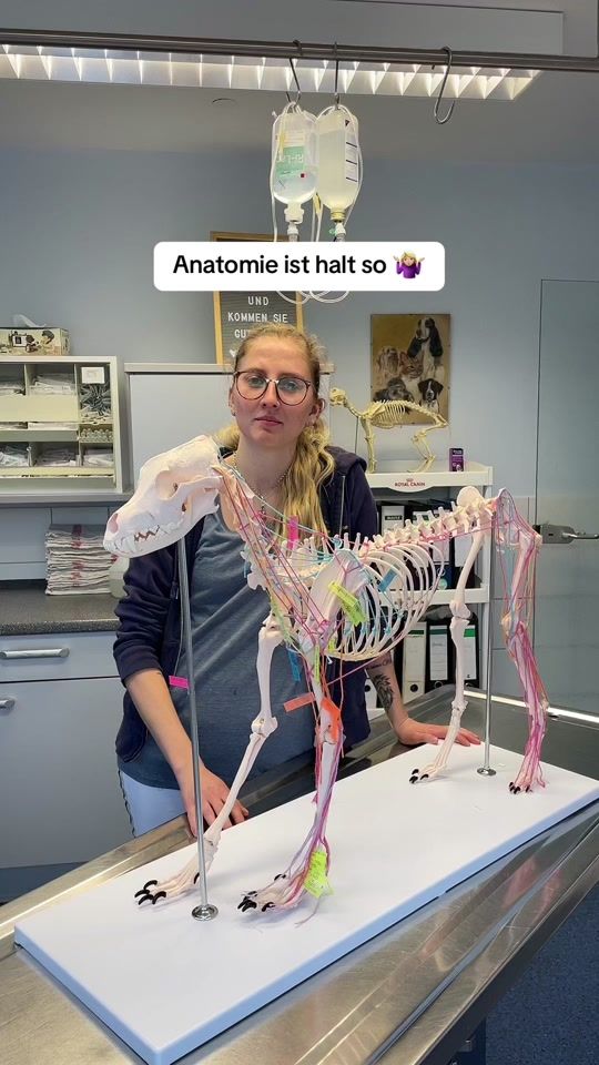 TikTok video thumbnail by allgaeutfas