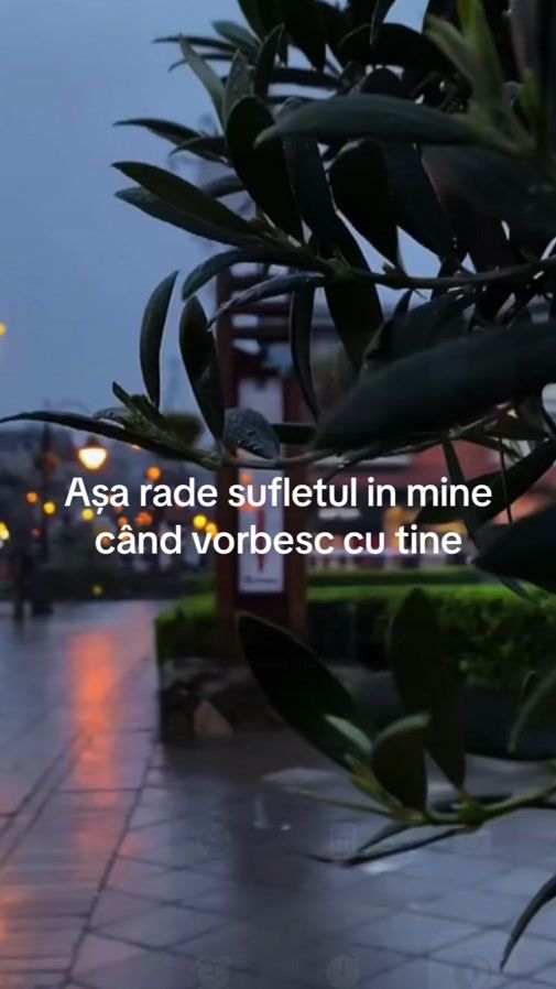 TikTok video thumbnail by wessente