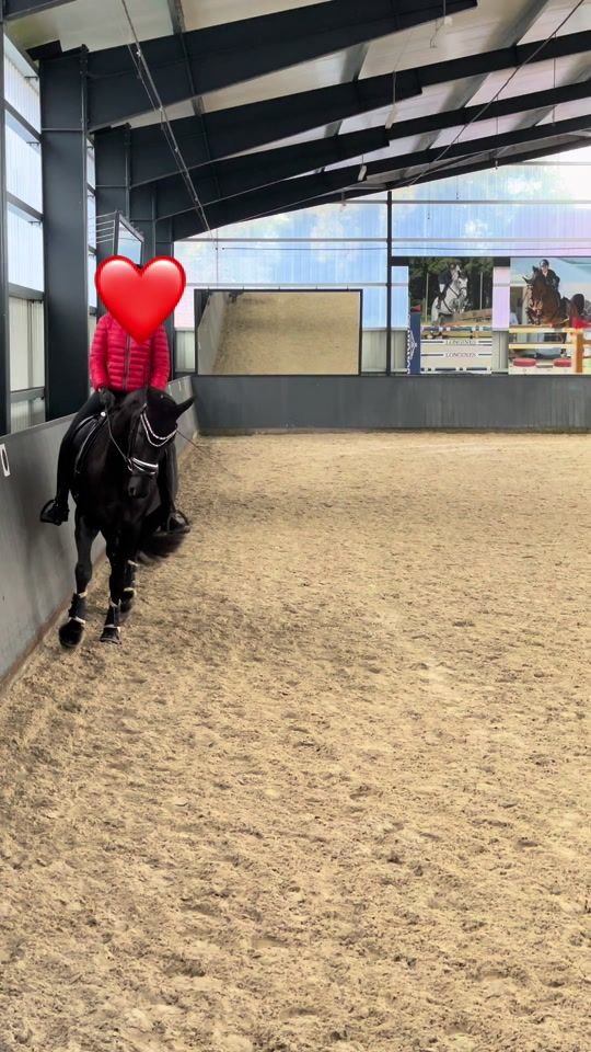 TikTok video thumbnail by herzenspferd.rudi