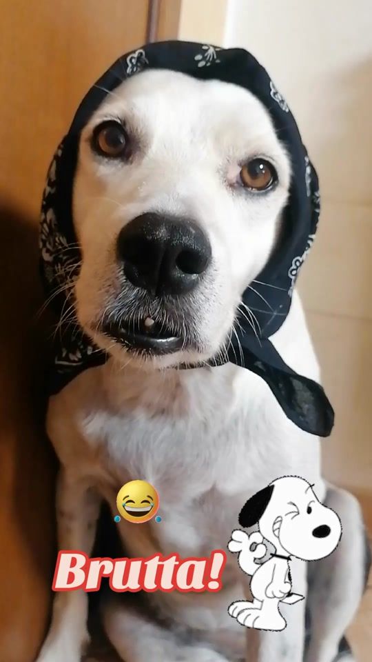 TikTok video thumbnail by hope2616