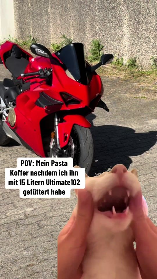 TikTok video thumbnail by biker_elmo