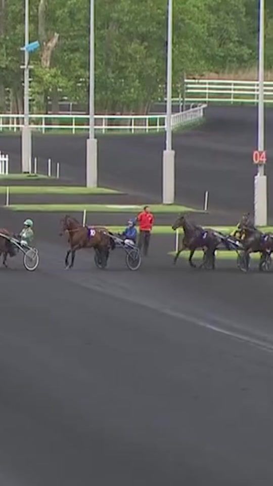 TikTok video thumbnail by equidia_tv