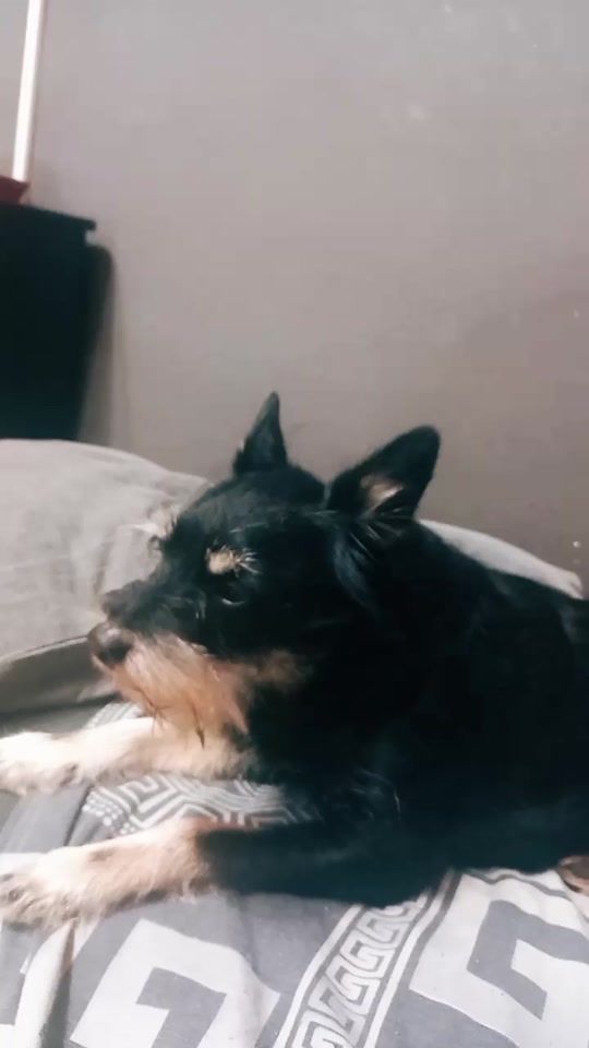 TikTok video thumbnail by bettycarmen4