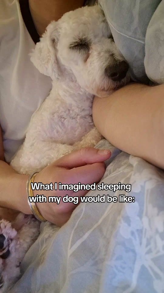 TikTok video thumbnail by shopkennyscloset