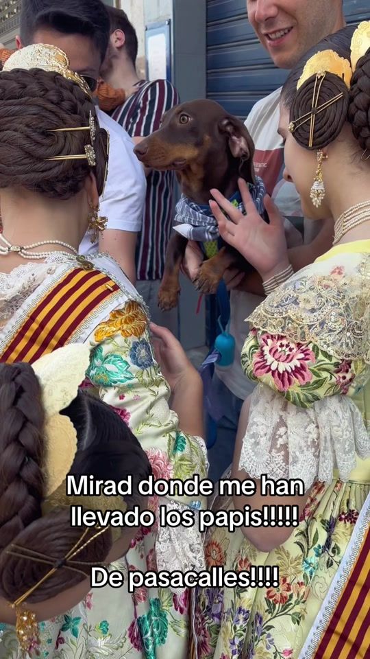 TikTok video thumbnail by salchifuuuuet