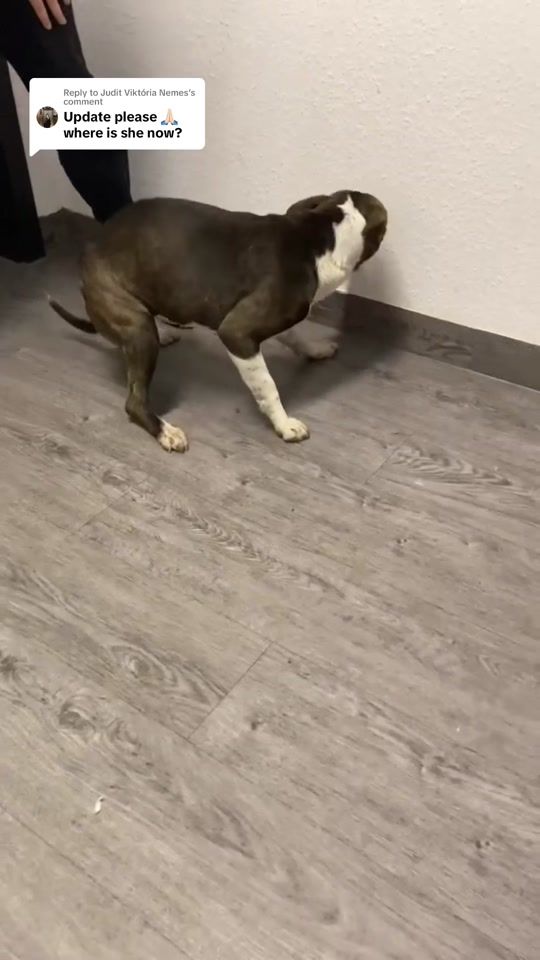 TikTok video thumbnail by fapf_hungary