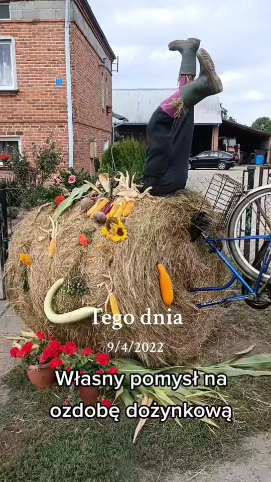 TikTok video thumbnail by swiru97