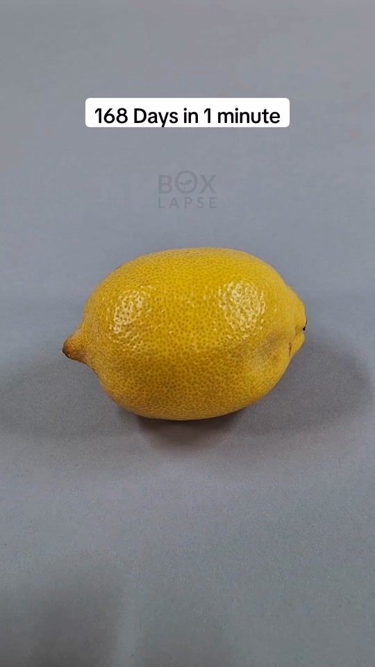 TikTok video thumbnail by boxlapseplus