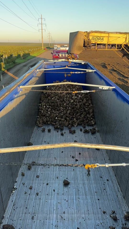 TikTok video thumbnail by lunguclaudiu21