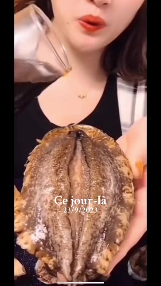 TikTok video thumbnail by kakounet81