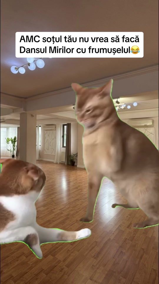 TikTok video thumbnail by ikimdansulmirilor