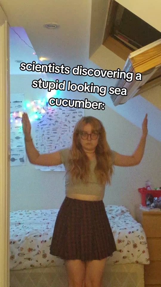 TikTok video thumbnail by lucytalksfish