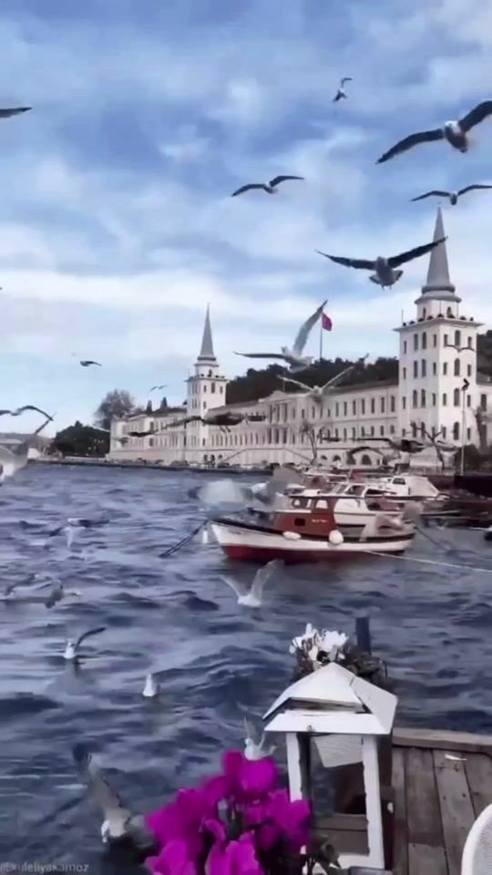 TikTok video thumbnail by danutza008