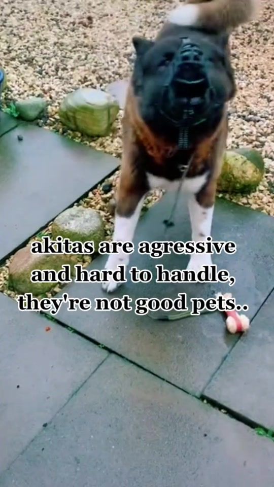 TikTok video thumbnail by itsli.cos