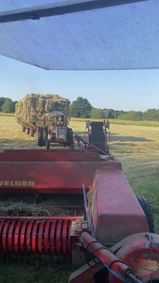 TikTok video thumbnail by heins.jannes