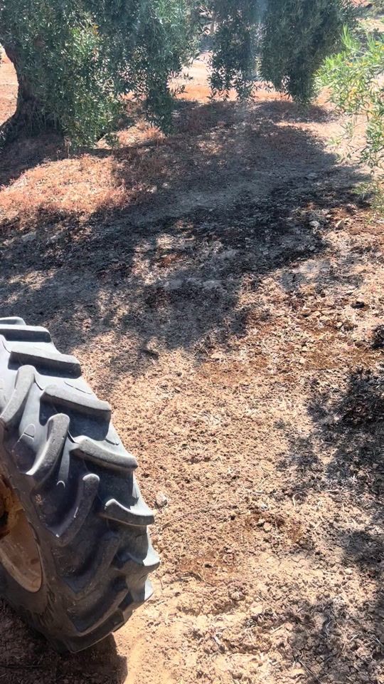 TikTok video thumbnail by franciscobautistacambil