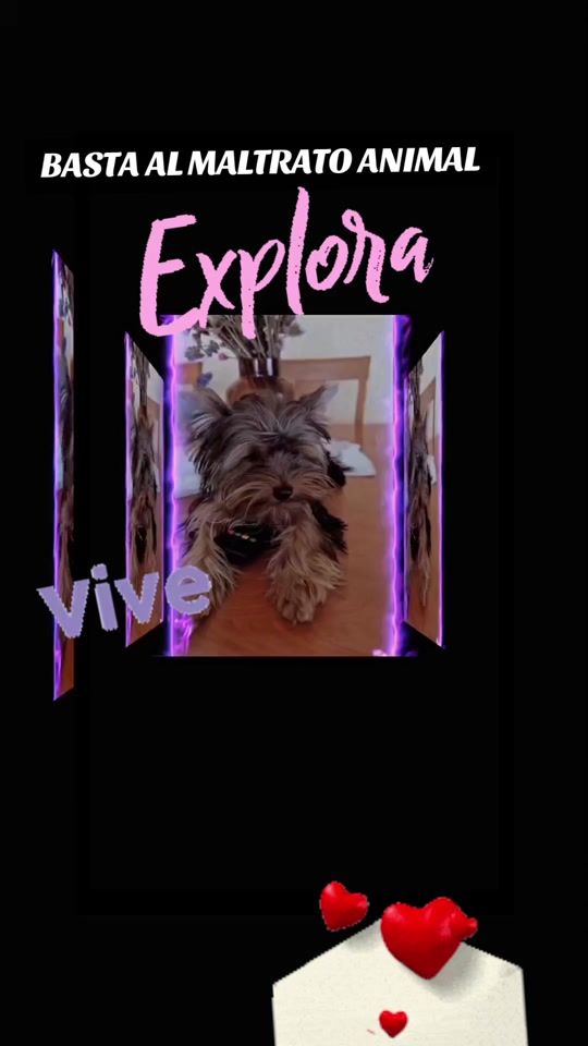 TikTok video thumbnail by mariangelsamor