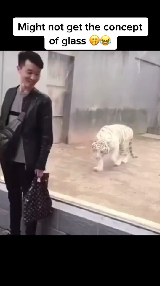 TikTok video thumbnail by jasonrdublin1