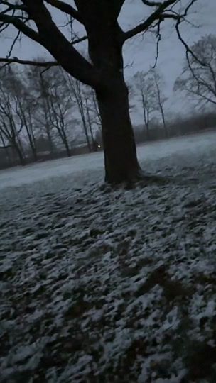 TikTok video thumbnail by entlebucherforlive