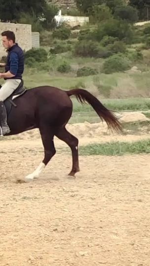 TikTok video thumbnail by carmelopele