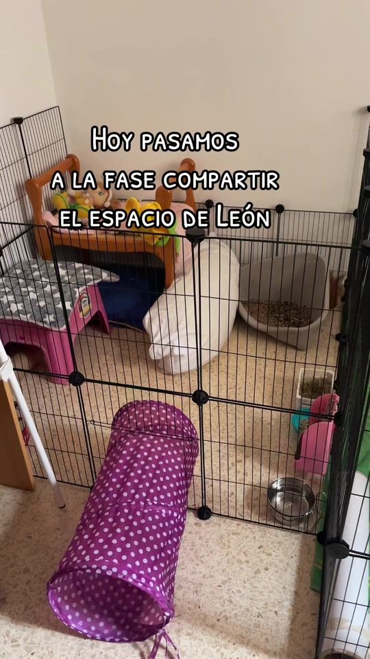 TikTok video thumbnail by leoncabezadeleon