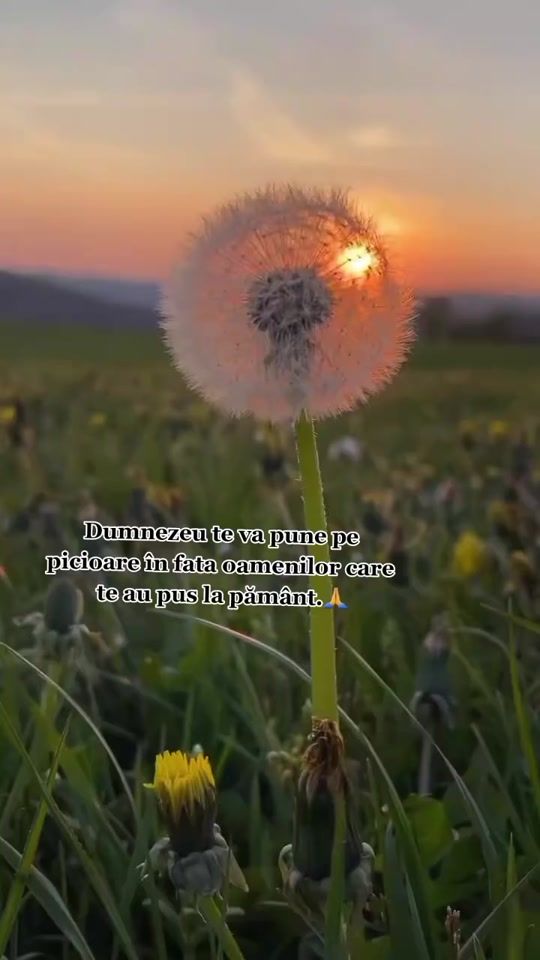 TikTok video thumbnail by _for.you1_