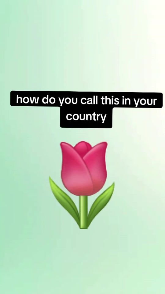 TikTok video thumbnail by woni_pieee