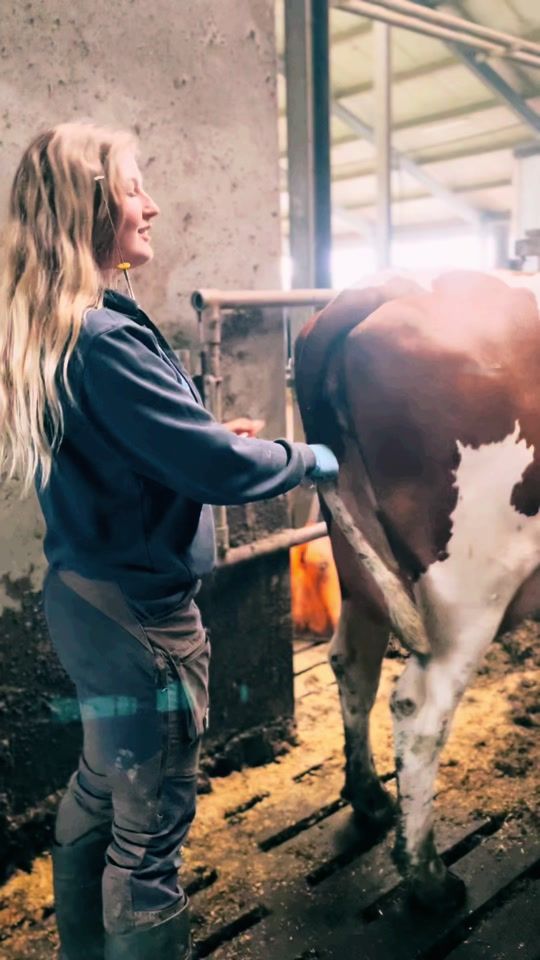 TikTok video thumbnail by pilea_quality