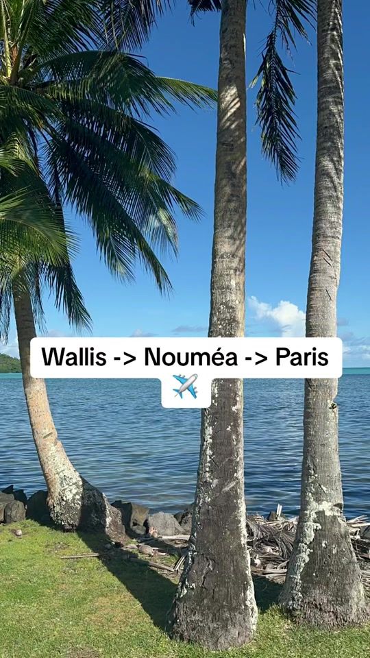 TikTok video thumbnail by moanatoitaua