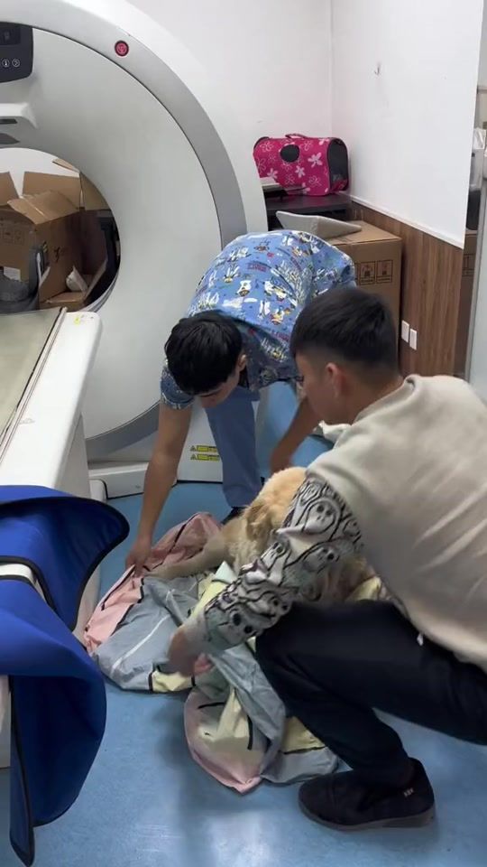 TikTok video thumbnail by pet.cuti21