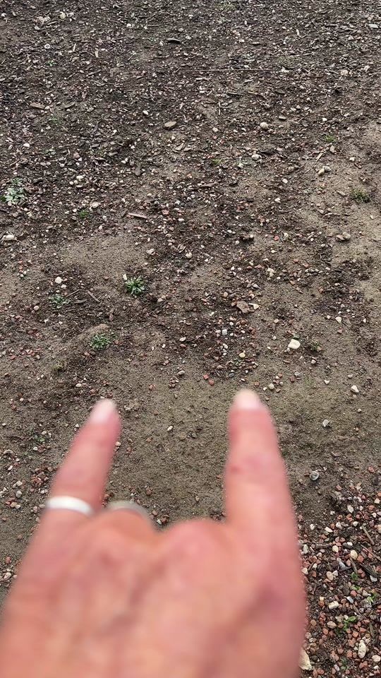 TikTok video thumbnail by dieimmerlacht66