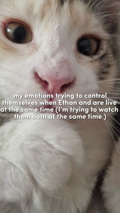 TikTok video thumbnail by _andy_ethan_