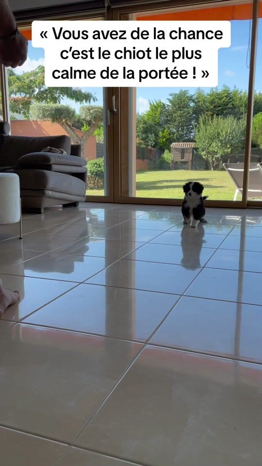 TikTok video thumbnail by vetlunaa