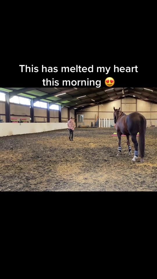 TikTok video thumbnail by suzie085
