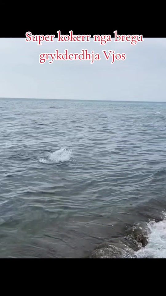 TikTok video thumbnail by guida_peshkim_sportiv