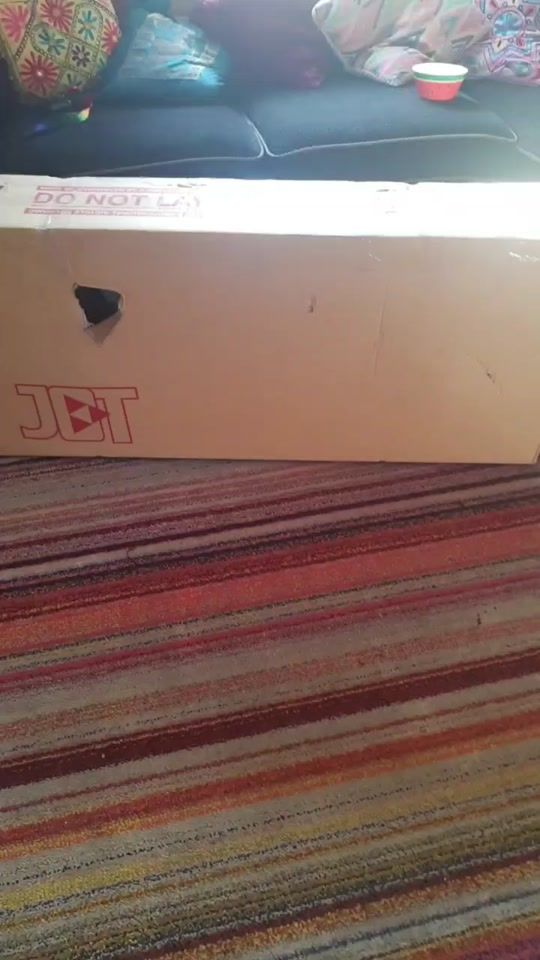 TikTok video thumbnail by joey2luv