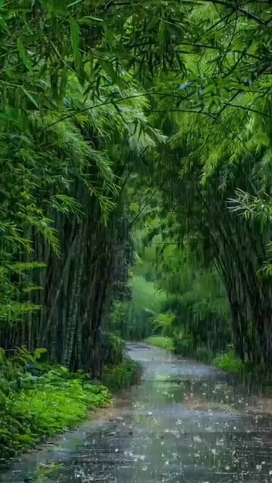 TikTok video thumbnail by siempreyoconganasdevivir